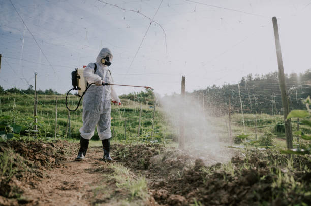 Best Mosquito Control Services  in Hill City, KS