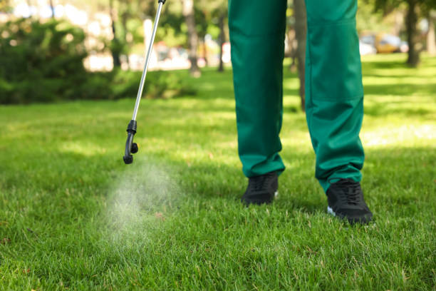 Best Pest Control Near Me in Hill City, KS