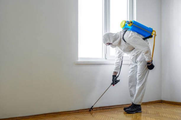 Best Termite Control Services  in Hill City, KS