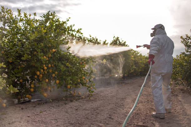 Best Pest Control Near Me  in Hill City, KS