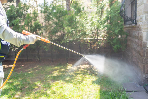 Best Rodent Control Near Me  in Hill City, KS