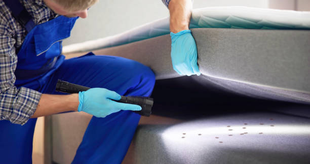 Best Affordable Pest Control Services  in Hill City, KS