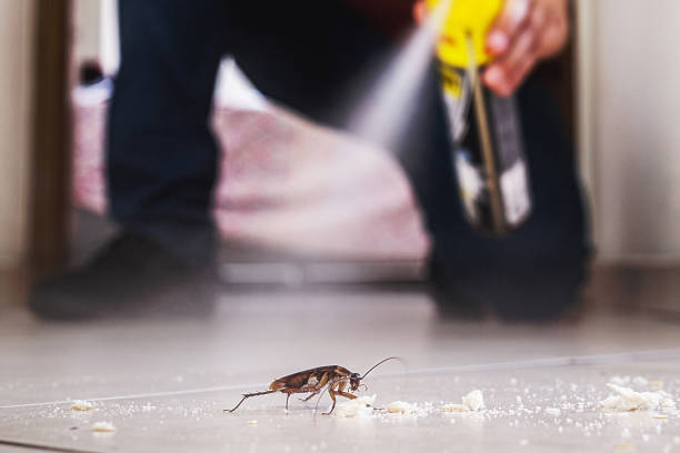 Best Wasp Removal Services  in Hill City, KS